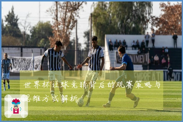 世界杯让球竞猜背后的观赛策略与思维方式解析
