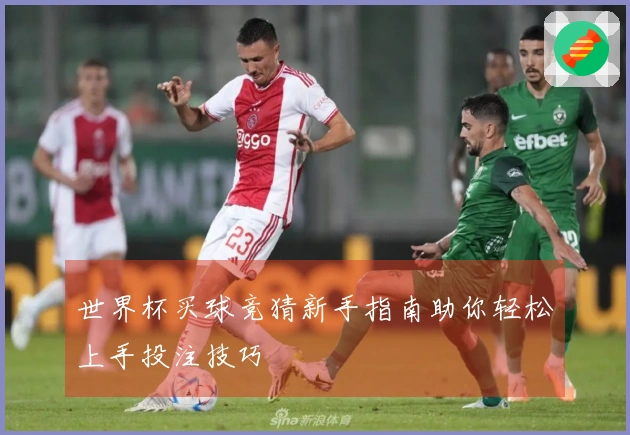 世界杯买球竞猜新手指南助你轻松上手投注技巧