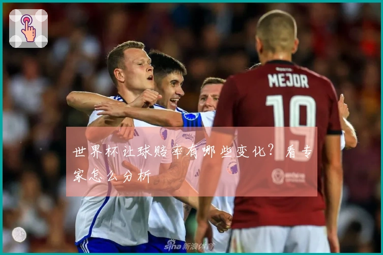 世界杯让球赔率有哪些变化？看专家怎么分析