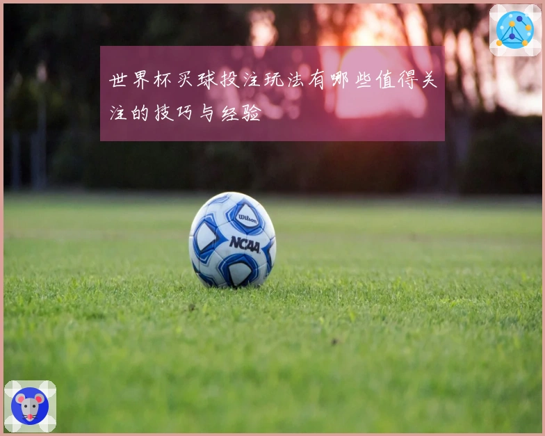 世界杯买球投注玩法有哪些值得关注的技巧与经验