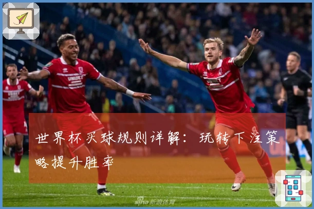 世界杯买球规则详解：玩转下注策略提升胜率