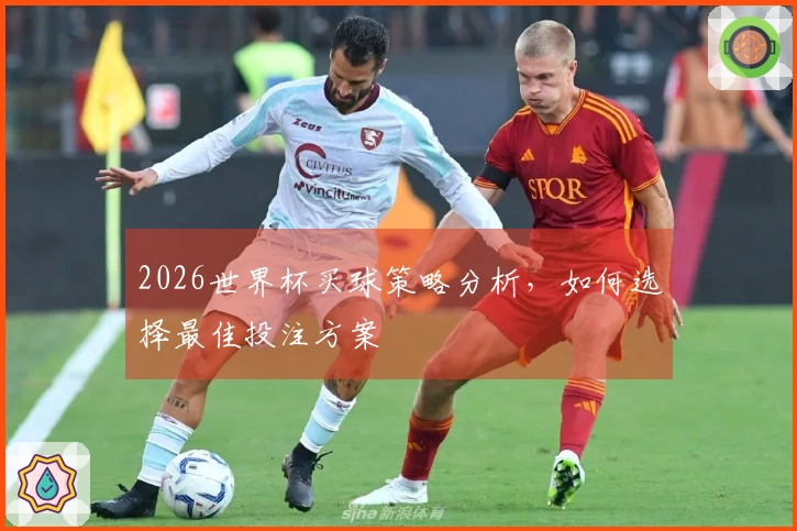 2026世界杯买球策略分析，如何选择最佳投注方案