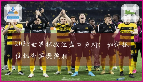 2026世界杯投注盘口分析：如何抓住机会实现盈利