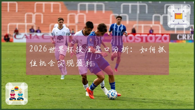 2026世界杯投注盘口分析：如何抓住机会实现盈利